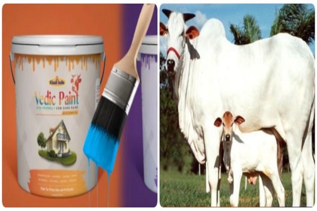 Cow Dung Paint 