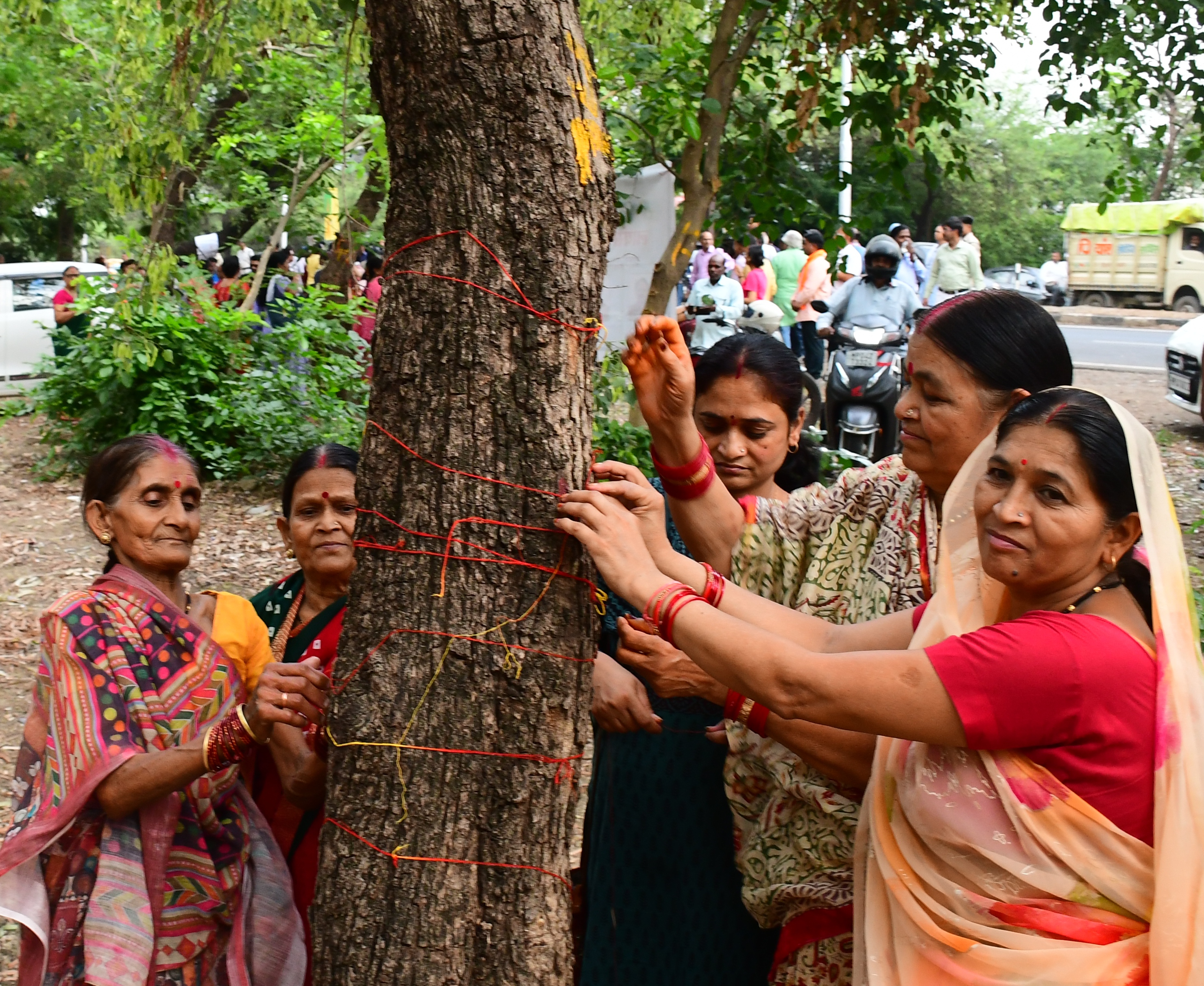 भोपाल. के अयोध्या बायपास 10 लेन का करने में कट रहे 8 हजार पेड़, रक्षा सूत्र
बांधकर लोगो ने जताया विरोध फोटो देखें