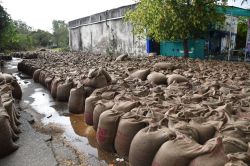 एफसीआई के गेहूं खरीद केंद्र पर बारिश में भीगा किसानों का गेहूं - image