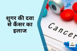 Diabetes Drug Cure Cancer : शुगर की दवा से कैंसर का इलाज, रिसर्च में मिला नया
सुराग - image