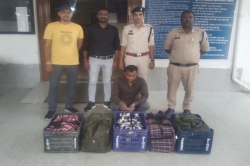 Drug smuggler arrested: किराए के मकान में कर रहा था अवैध करोबार, 19 लाख के नशीले
इंजेक्शन व कफ सिरप के साथ गिरफ्तार - image