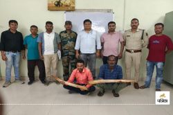 Ivory smuggling: शहर में हो रही थी हाथी दांत की तस्करी, वन विभाग ने सौदा करते 2
आरोपियों को किया गिरफ्तार - image