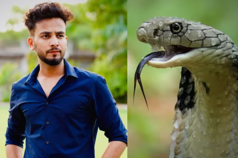 Elvish Yadav Rave party case