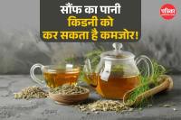 Fennel Seeds For Kidney