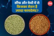 Fennel vs Fenugreek Benefits