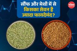 Fennel vs Fenugreek: सौंफ और मेथी में से किसका सेवन आपके शरीर के लिए ज्यादा
फायदेमंद है? - image