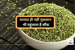 Fennel Seeds Side Effects: सौंफ के फायदे तो सुने होंगे, लेकिन ज्यादा सेवन से हो
सकते हैं ये नुकसान - image