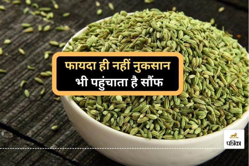 Fennel Seeds