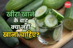 Foods To Avoid After Eating Cucumber: खीरा खाने के बाद भूलकर भी नहीं खाएं ये 5
चीजें, सेहत को हो सकता है बड़ा नुकसान - image