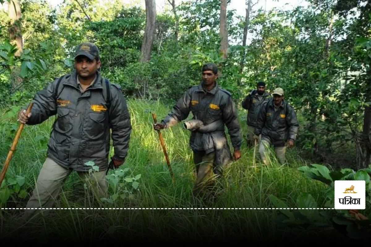 Forest Range Officer