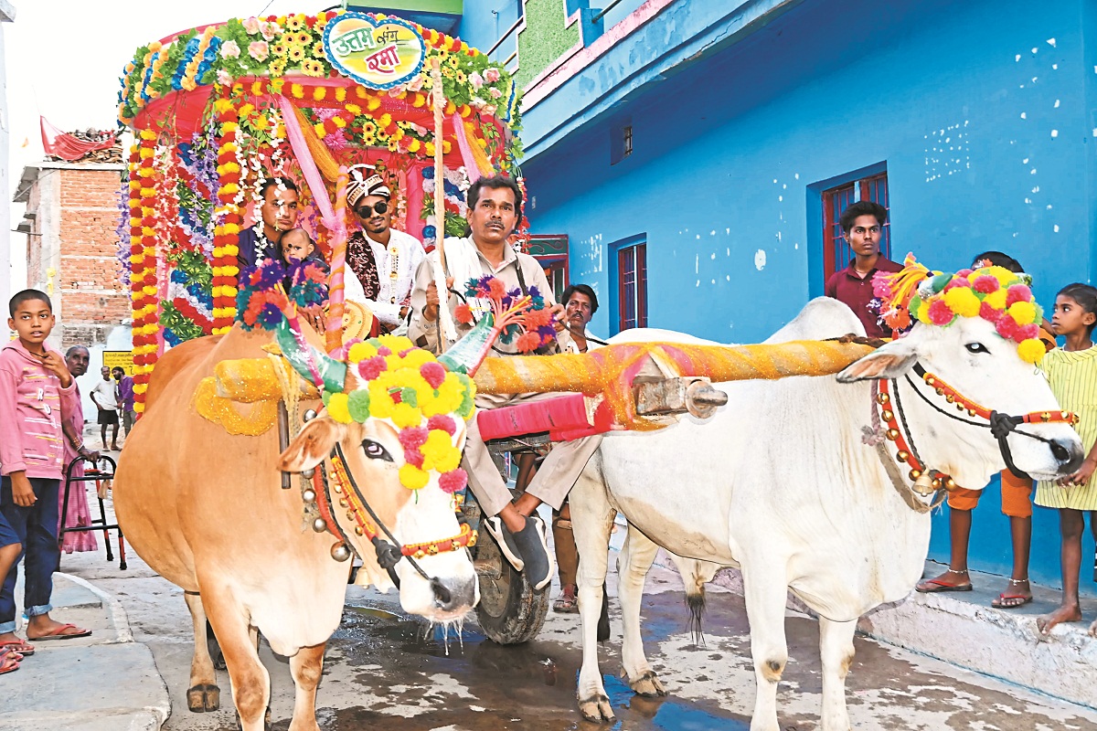 CG News: घोड़ा-गाड़ी नहीं बैलगाड़ी पर बैठकर निकले दूल्हे राजा, यहां की ऐतिहासिक
बारात देखकर झूम उठे लोग