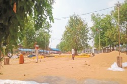 CG News: 3100 रुपए वाले धान की कीमत आधी, कर्ज में डूबे किसान - image