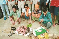 CG News: जंगली सुअर का शिकार… जंगल में कुल्हाड़ी, छुरी के साथ 4 पकड़ाए - image