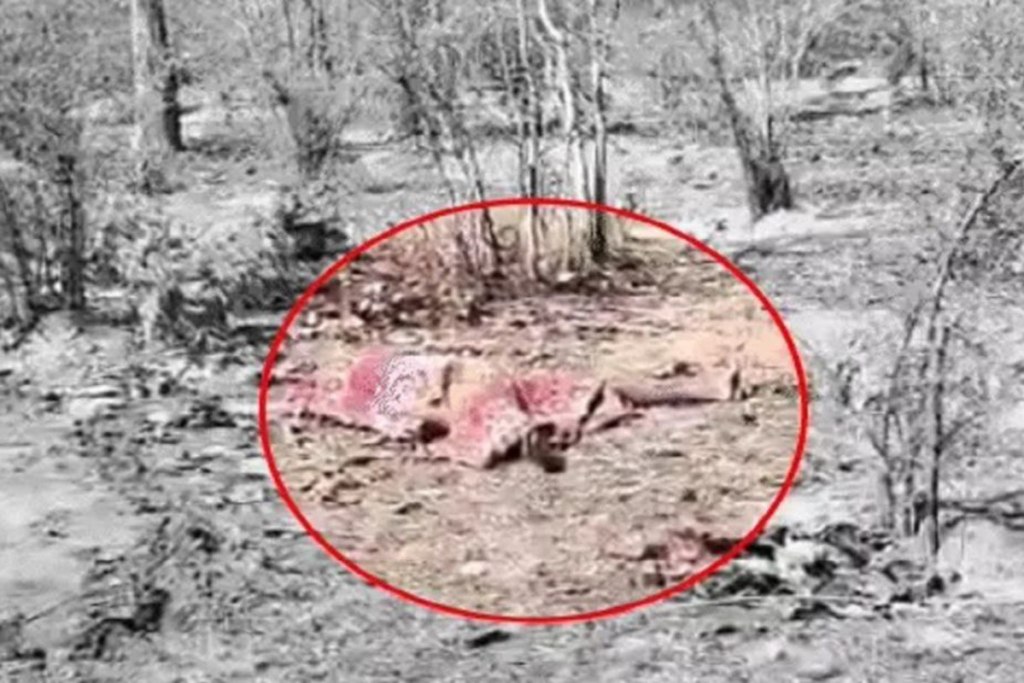 Girl murder case solved: बलात्कार में असफल रहे चौकीदार ने की थी 8वीं की छात्रा की हत्या, पुलिस को गुमराह करने किया था निर्वस्त्र, DNA रिपोर्ट से खुलासा