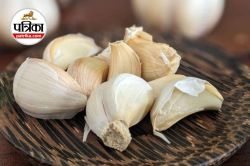 Garlic Benefits: खाली पेट लहसुन खाने से सेहत को मिलता है कई बड़े लाभ, जानिए खाने
का सही तरीका - image