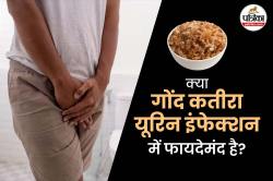 Gond Katira for Urine Infection: क्या गोंद कतीरा यूरिन इंफेक्शन के लिए फायदेमंद
होता है? जानिए - image