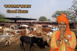 बल्ले-बल्ले! भजनलाल सरकार गौशालाओं को रियायती दर पर देगी ये सुविधा, राजस्थान की
100 गौशालाओं का हुआ चयन - image