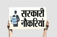 Government Job