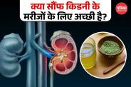 Fennel seeds for kidney health