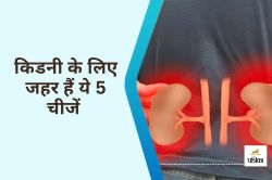 Habits That Damage Your Kidney : ज्यादा नमक के अलावा ये 4 चीजें कर सकती हैं
किडनी को खराब - image