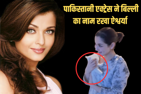 Hania Aamir Cat Named Aishwarya (1)