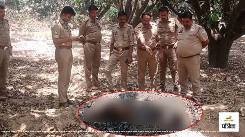 Headless body found in mango orchard