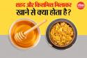 Raisins And Honey Benefits: थकान भगाएं, इम्युनिटी बढ़ाएं, किशमिश और शहद मिलाकर
खाने के ये हैं 5 जबरदस्त फायदे