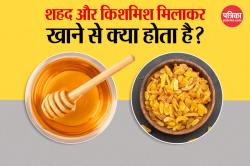 Raisins And Honey Benefits: थकान भगाएं, इम्युनिटी बढ़ाएं, किशमिश और शहद मिलाकर
खाने के ये हैं 5 जबरदस्त फायदे - image