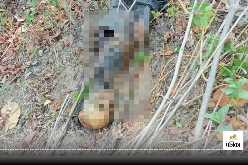 Human skeleton: 13 दिन से लापता युवक का पहाड़ पर मिला नरकंकाल, घरवालों ने कपड़े देखकर कहा- ये तो महेश है