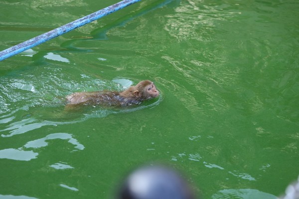 नौतपा के तीसरे दिन राज्य के कई जिलों में तापमान 44 से 46 डिग्री सेल्सियस तक पहुंच गया है। सबसे अधिक गर्मी बाड़मेर में दर्ज की गई, जहां तापमान 45.2 डिग्री सेल्सियस तक पहुंच गया।