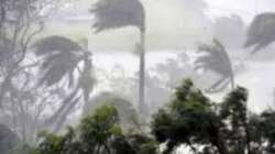 Weather forecast: धूल भरी आंधी, बिजली गरजने और चमकने की चेतावनी, बारिश की भी
संभावना - image
