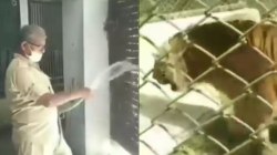 bird flu latest update: मृत पशु पक्षियों और कर्मियों का लिया गया सैंपल, रेड जोन
घोषित - image