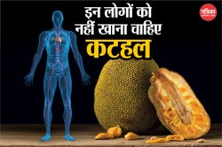 Jackfruit Side Effects: इन 5 लोगों को नहीं खाना चाहिए कटहल, सेहत को हो सकते हैं
नुकसान - image