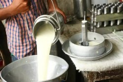 राजस्थान के पशुपालकों को जयपुर डेयरी की बड़ी सौगात, दूध खरीद की बढ़ाई रेट; अब
मंहगा हो सकता है दूध - image