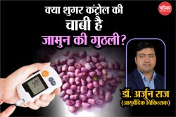 Jamun Seed Powder Benefits: डायबिटीज कंट्रोल करने में असरदार है जामुन के बीज का
चूर्ण, जानिए आयुर्वेदिक एक्सपर्ट की राय - image