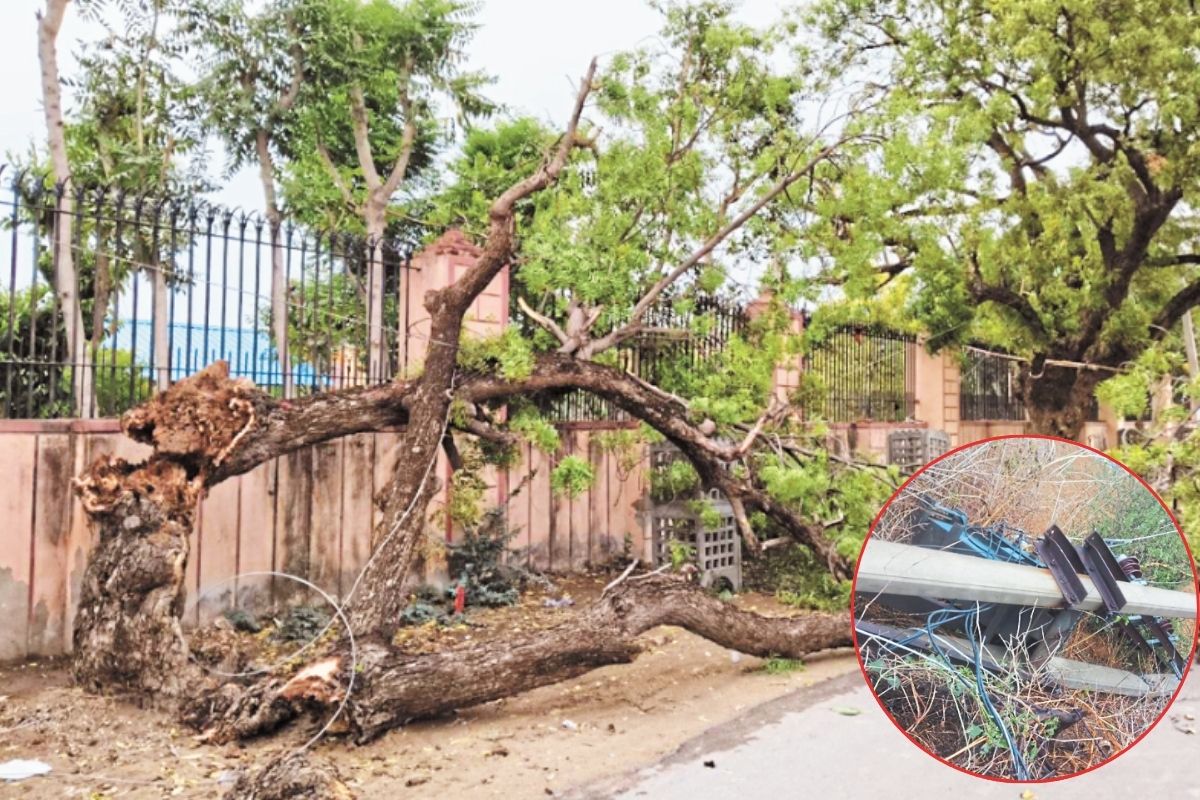 Weather News: राजस्थान के झुंझुनूं में अंधड़ ने मचाई तबाही, 422 ट्रांसफार्मर और
98 खंभे गिरे, जानें आज कैसा रहेगा मौसम
