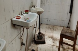 केटीयू के छात्रों का बीमार पड़ना तय! सामने आया हैरान कर देने वाला Video, देखकर
फेर लेंगे मुंह - image