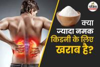 Effects of excess salt on kidneys फोटो डिजाइन- पत्रिका.com