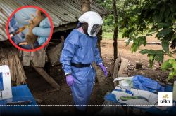 Lassa Fever: चूहों से फैलता है ये बुखार, 138 की नाइजीरिया में मौत, जानिए भारत को
लेकर क्या है अपडेट? - image
