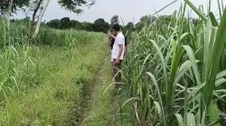 Bijnor News: गुलदार ने पिता पर किया हमला, बेटे ने बाल्टी से पलटवार कर खूंखार
गुलदार को भगाया, गांव में दहशत - image