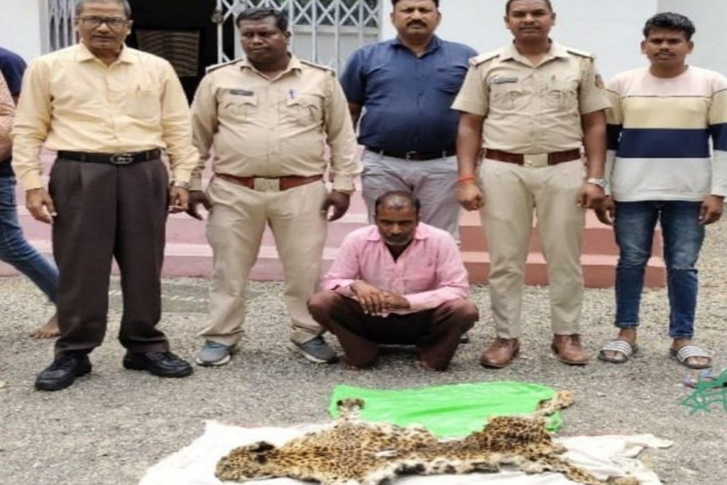 Leopard skin smuggling