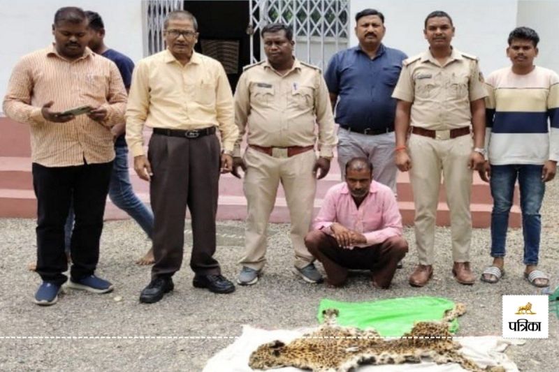 Leopard skin smuggling