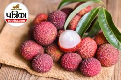 Litchi Side Effects: गर्मी में लीची खाने से पहले जरूर जानें इसके ये नुकसान, वरना
बढ़ सकती हैं स्वास्थ्य समस्याएं - image