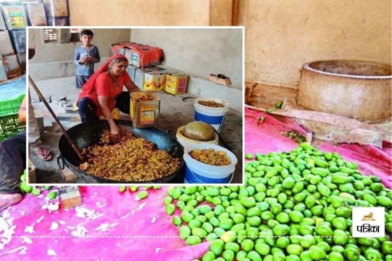 Rajasthan Lohargal Pickle Mango Foreigners are also Crazy know Specialties of its Unique Taste