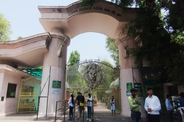 फोटो सोर्स : Patrika: 