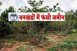 एमपी में जमीन मालिक हो रहे परेशान, घर बनवा पा रहे न दुकान, न्याय के लिए काट रहे
चक्कर - image