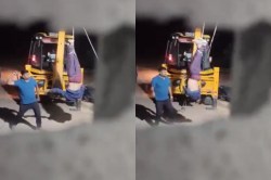 राजस्थान में माफियाओं की गुंडागिर्दी… पीड़ित को JCB से उलटा लटकाकर जमकर पीटा,
कांग्रेस ने सरकार पर बोला हमला - image