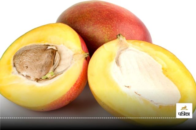 Mango Kernel B12 Benefits