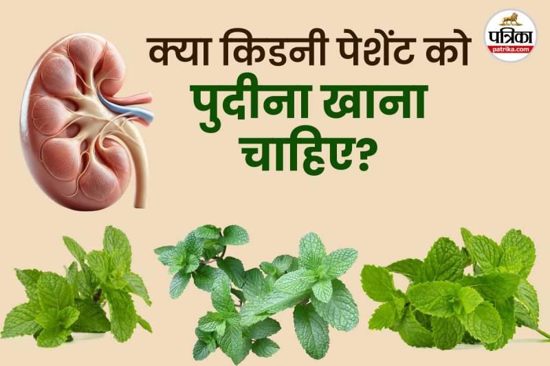 Mint Leaves Benefits For Kidney