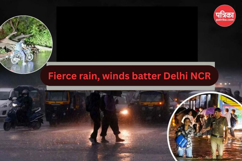 Delhi NCR battered by storm